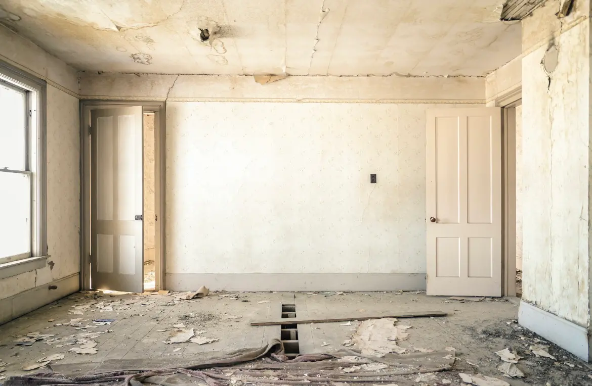 Waste disposal crew managing a cleanout project in Haleyville